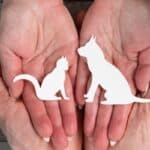 Assurance chien chat sans franchise