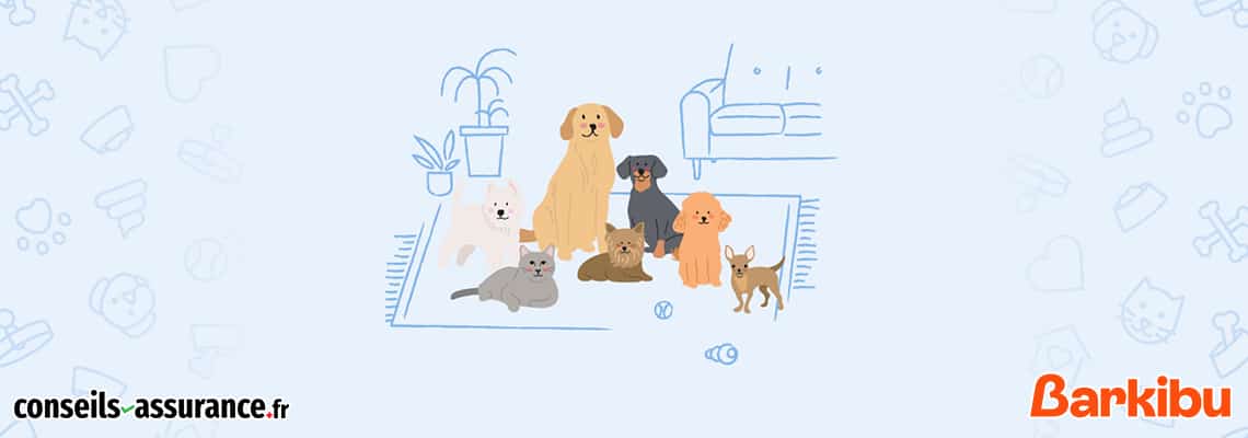 Barkibu