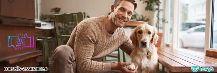 Avis Lovys, assurance animaux
