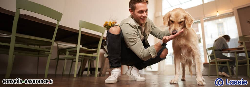 Lassie assurance code promo