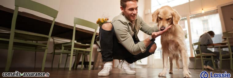 Lassie assurance code promo