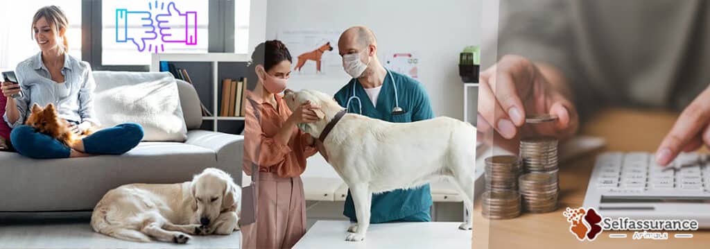 avis self assurance animaux