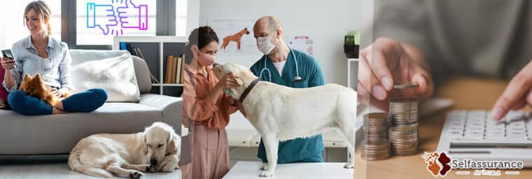 avis self assurance animaux