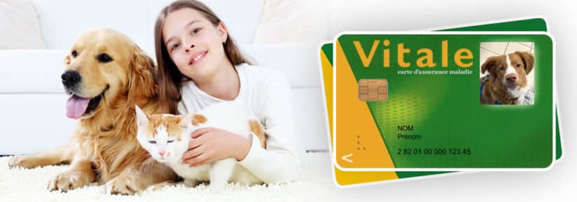 carte vitale chien et chat