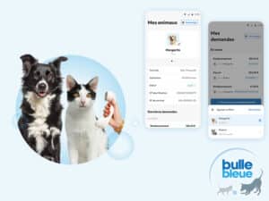 bulle bleue avis-