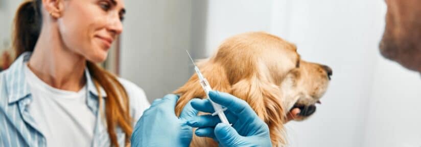 Assurance animal et vaccin