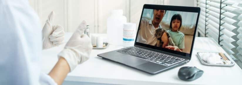 Assurance animaux avec téléconsultation vétérinaire