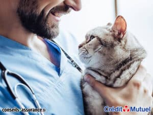 Assurance animaux Crédit Mutuel avis