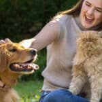 Avis assurance animaux Macif