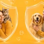 Avis solly azar assurance animaux