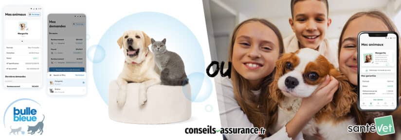 Santévet ou Bulle Bleue