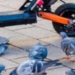 vol trottinette électrique sans assurance