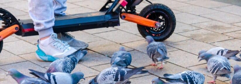 vol trottinette électrique sans assurance